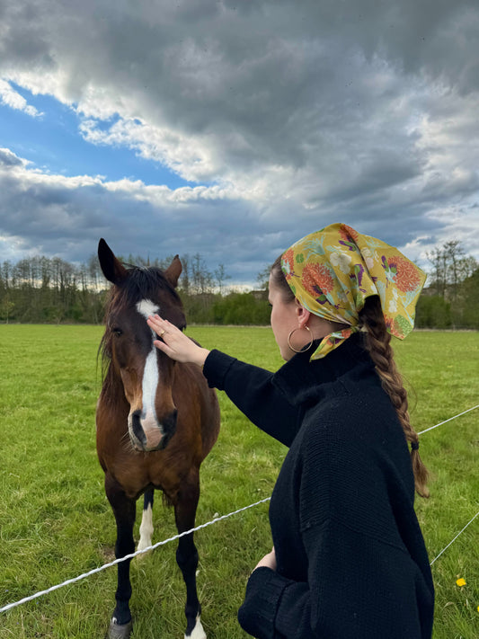 April 2025 - Les Touristes in the Countryside