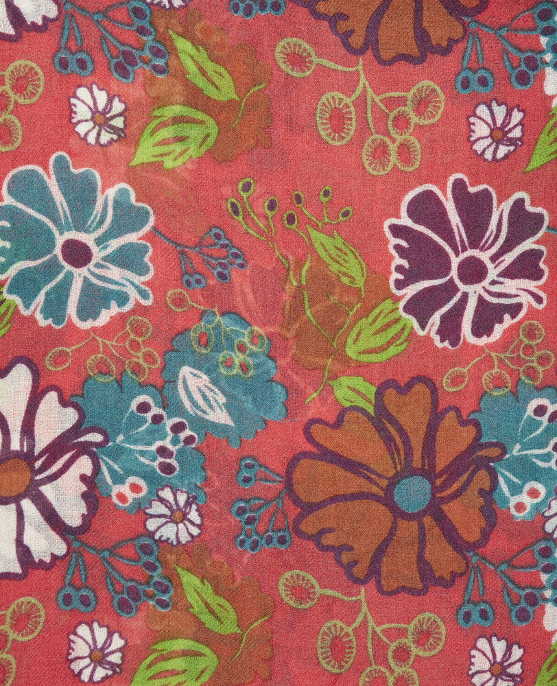 Cosmos Coral